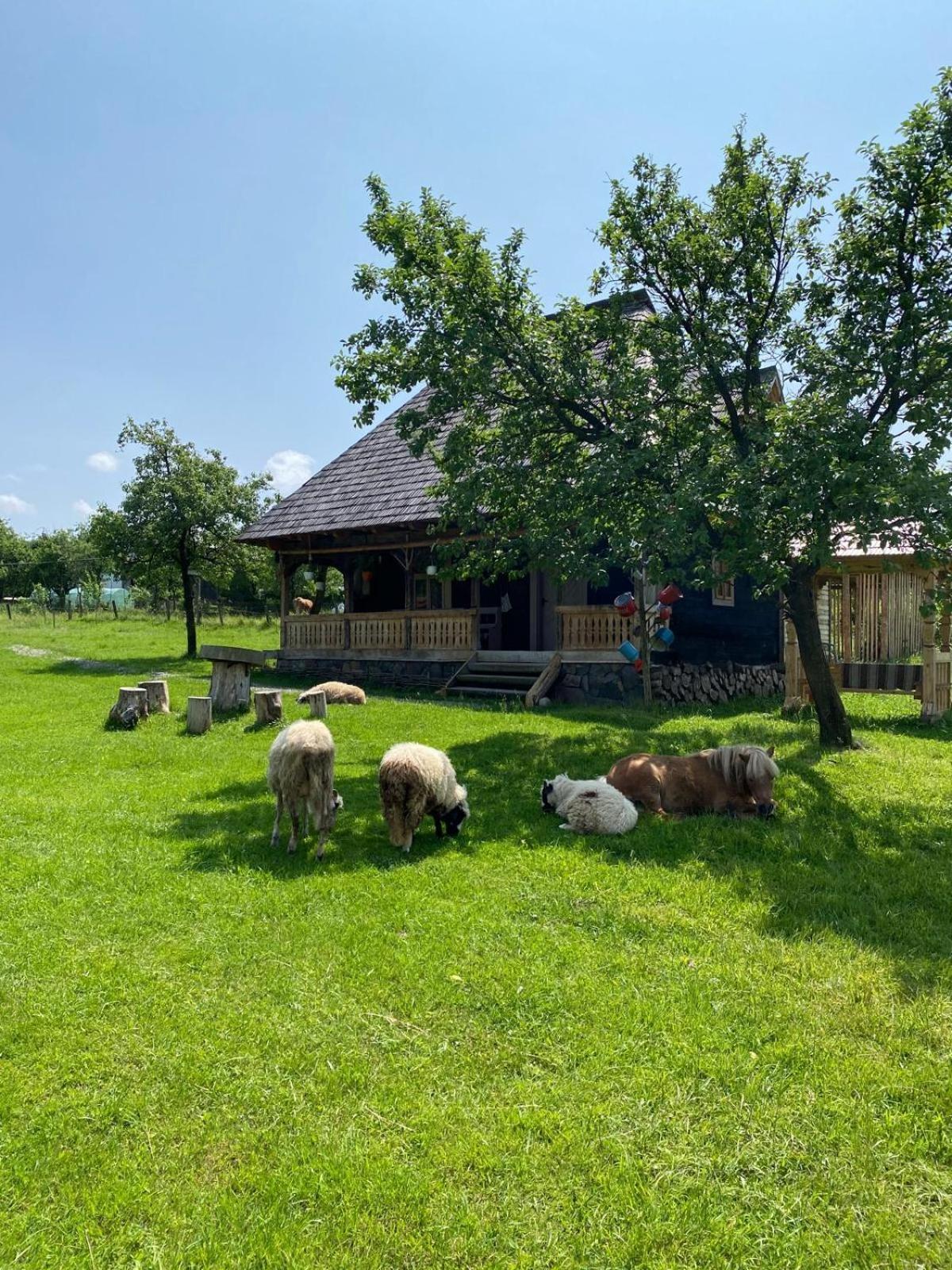 Ferienwohnung Casuta Din Gradina Breb Exterior foto
