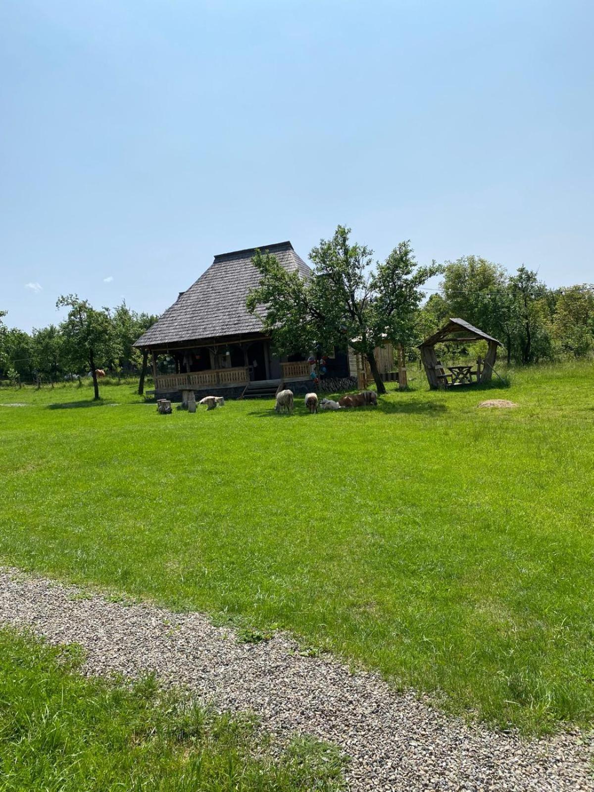 Ferienwohnung Casuta Din Gradina Breb Exterior foto
